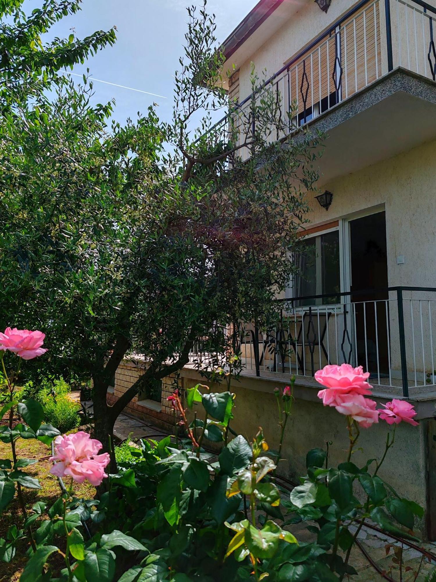 Apartment Nina